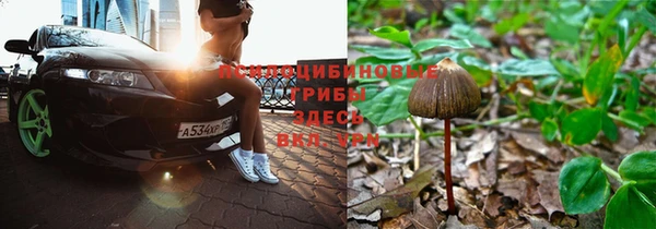 стаф Бронницы