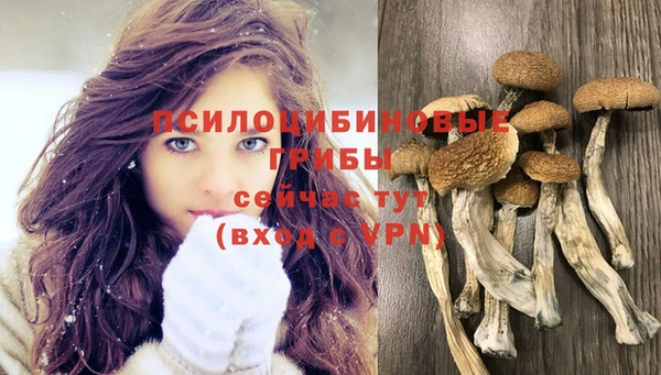 МДМА Верея